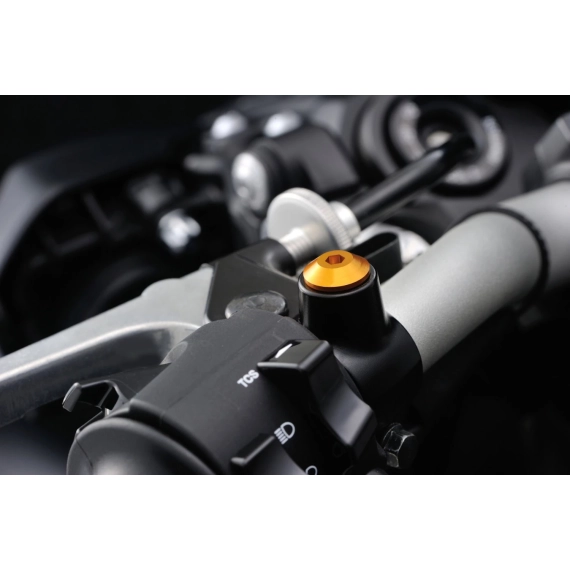 MIRROR THREAD PLUG BOLT - RIGHT - M10 x P1,25 - GOLD